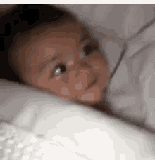 Do babies love you?