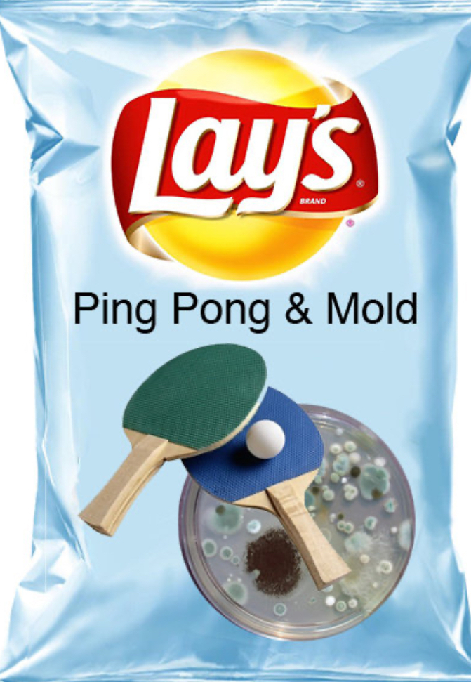 In The Wonderful World Of Potato Chips If You Had To Choose One Of The Following Which One Would You Choose?