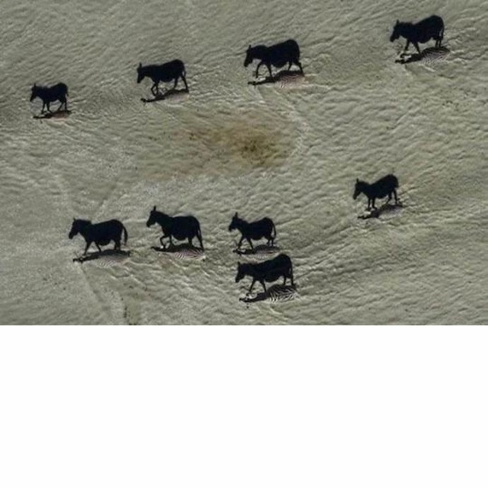 This photo is AMAZING 