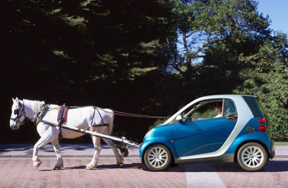 Guys, Do you know anyone who gets around town by mule?