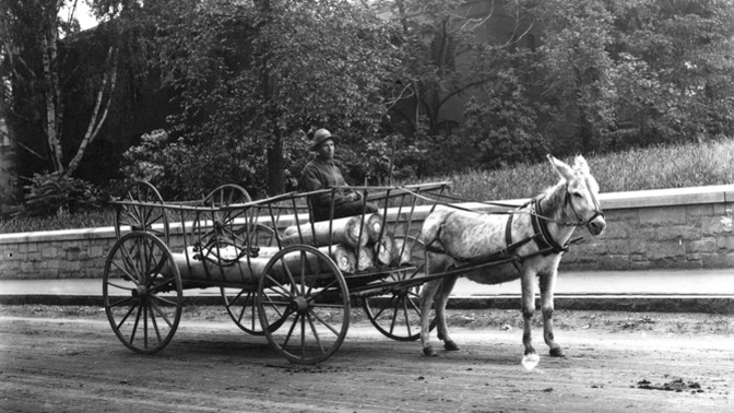 Guys, Do you know anyone who gets around town by mule?