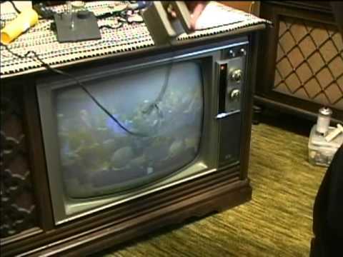 How often does your phone fall down?