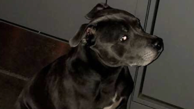 What is he thinking about?