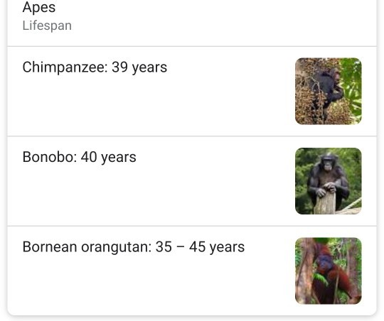How does evolution exist if Apes only have an average lifespan of 50 years?