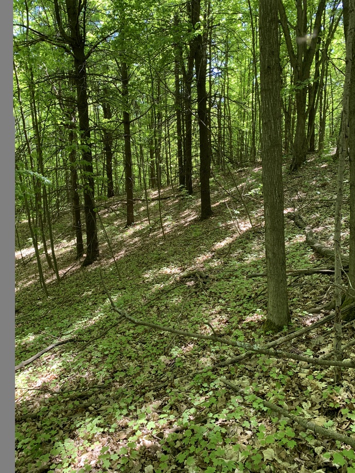 Like to take my shoes off and walk around in the woods. Very relaxing.