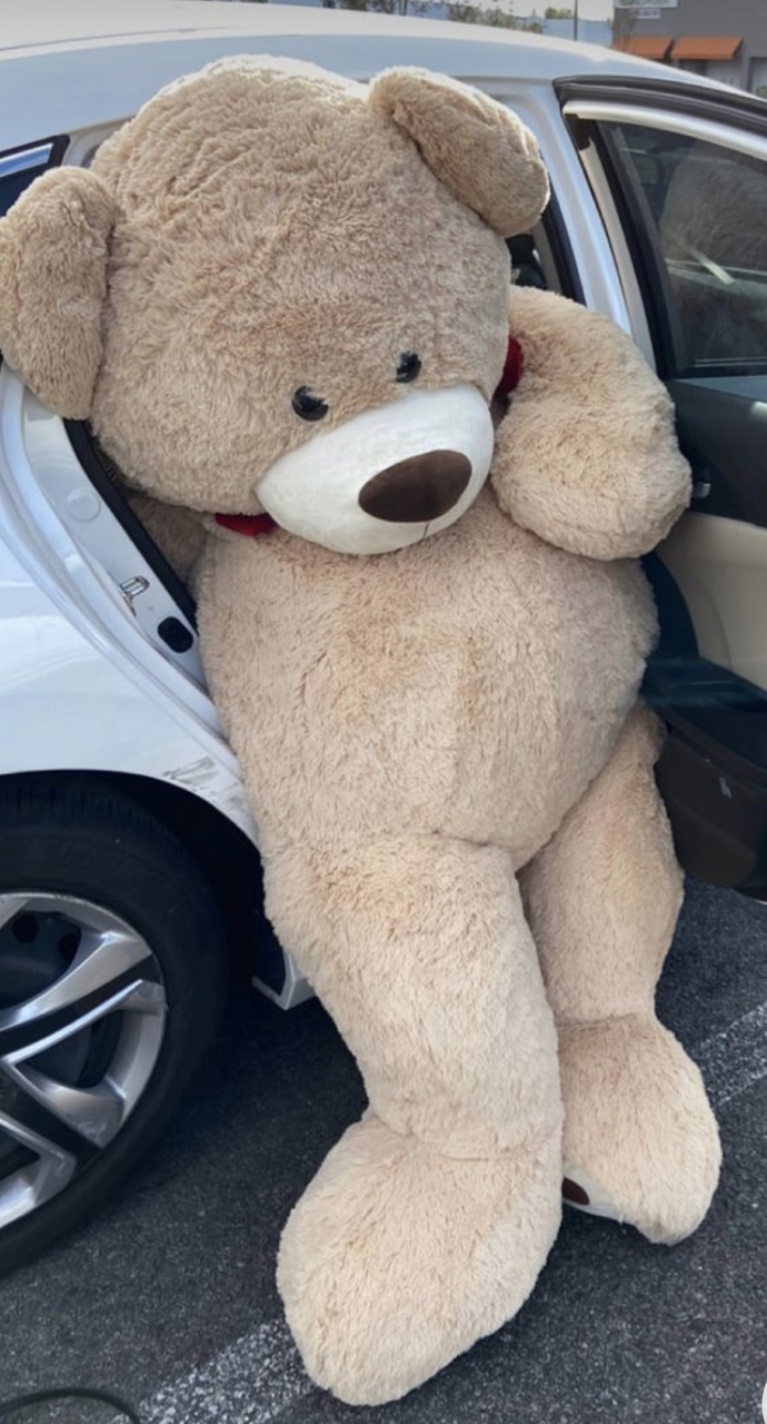 What are your thoughts on a grown woman having stuffed bears or dolls as decorations? I like this aesthetic and I’m redoing my apartment. Thoughts?