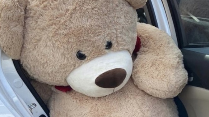 What are your thoughts on a grown woman having stuffed bears or dolls as decorations? I like this aesthetic and I’m redoing my apartment. Thoughts?