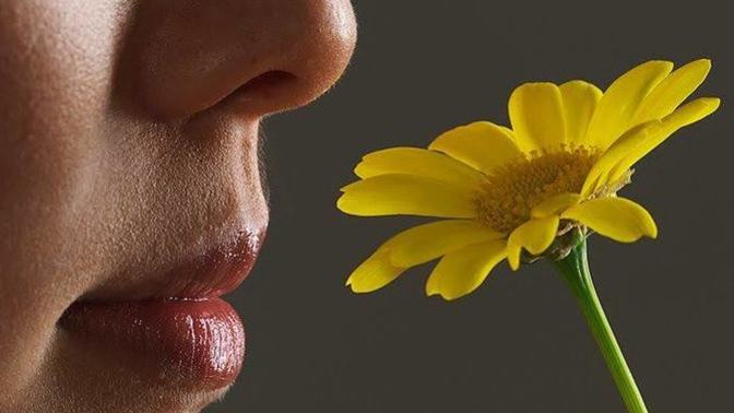 Which smell you like the most?