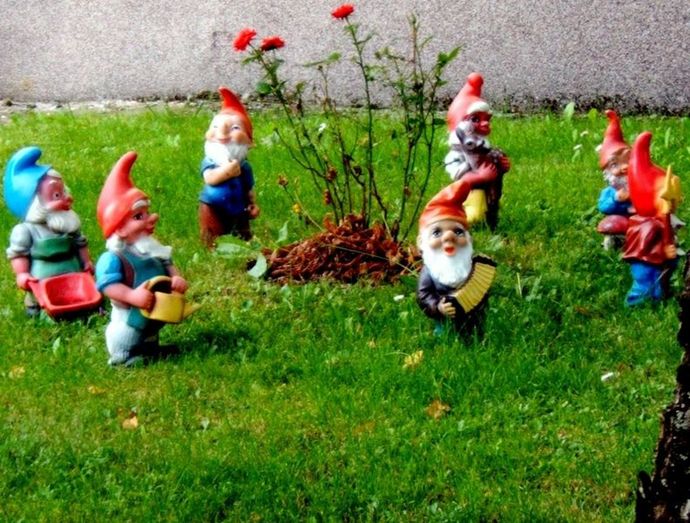 If Gnomes existed and a family of them set up residence in your yard what would you do or say to them?