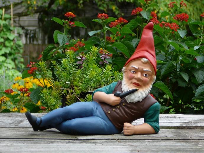 If Gnomes existed and a family of them set up residence in your yard what would you do or say to them?