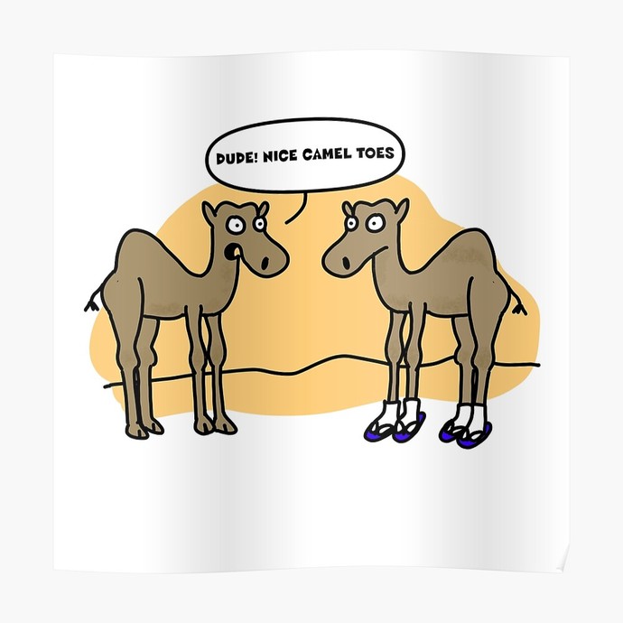A Clothing mishap: THE CAMEL TOE! HOW bad or embarrassing do you consider them when you see it or have had one yourself? Or does it not matter to you?