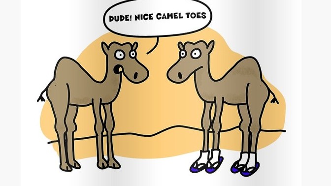 A Clothing mishap: THE CAMEL TOE! HOW bad or embarrassing do you consider them when you see it or have had one yourself? Or does it not matter to you?
