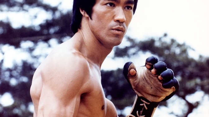 Who is your favorite martial artist from film and television?