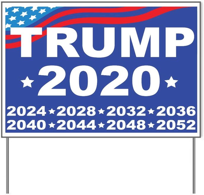 What would you think about the American Justice and Legal System if it reinstates Trump - Even though he lost the election?