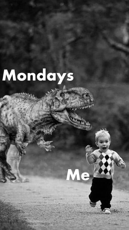 What is something Monday would do, if it were a person?