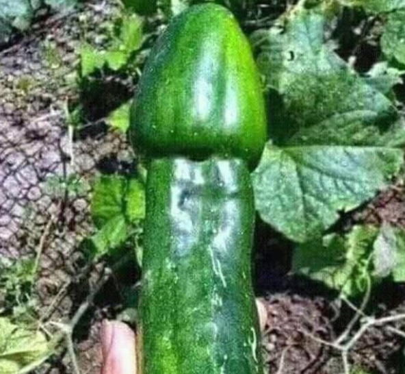 UK people, can you remember the olden days when you could buy vegetables in shops?