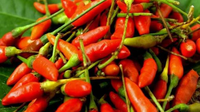 How old are you when you had your first spicy food?