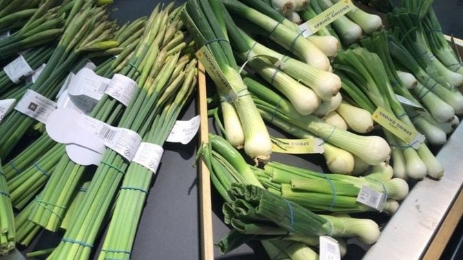 Have you ever eaten a daffodil?