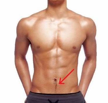 Sexy happy trail