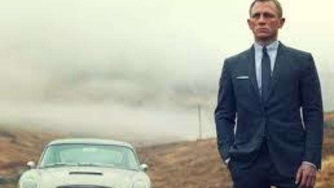 Agree or Disagree? There is no such thing as an Alpha Male?