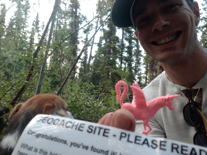 Roxy looks on with little regard for Geocaching...