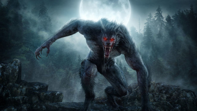 Have you ever encountered a Cryptid / Monster?