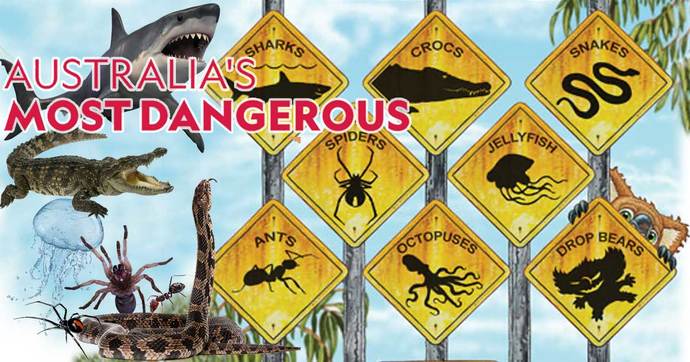 If you go to Australia, what would you be most afraid of?