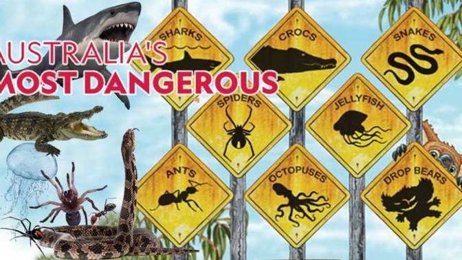 If you go to Australia, what would you be most afraid of?
