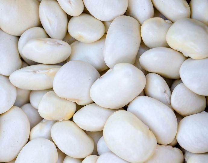 What beans are your favorite?