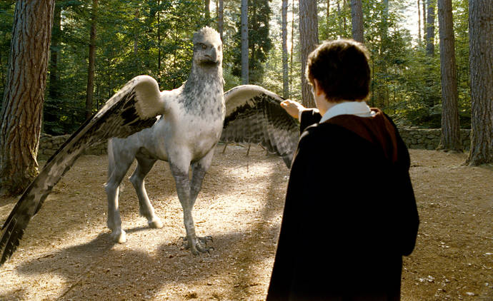 Care of Magical Creatures