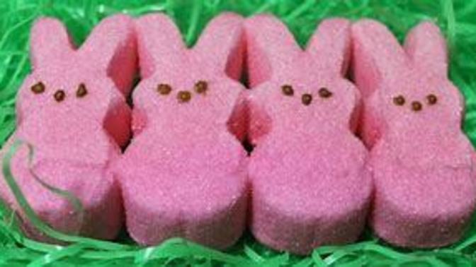 Which shape of Peeps do you like better: Chicks or Bunnies?