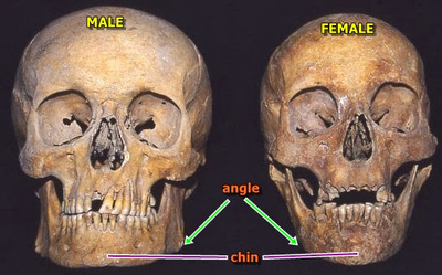 Harry Styles the new king of Pop. Agree?