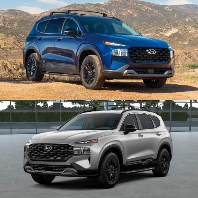 Which color looks better?