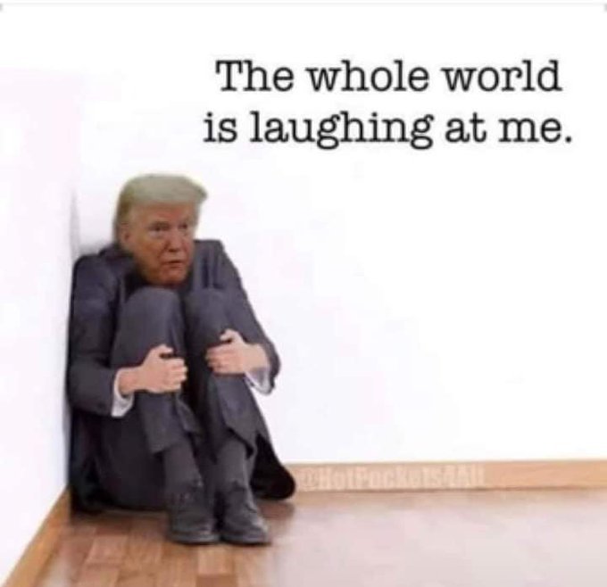 Do you think Donald Trump will win the next election in the US?