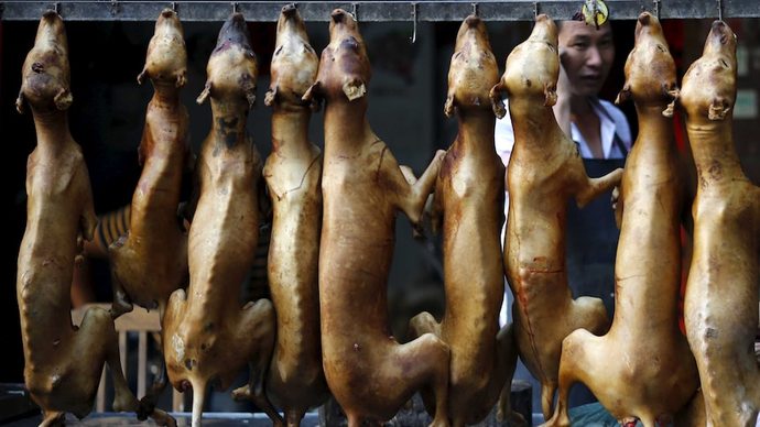 Why Asian people eat dog?