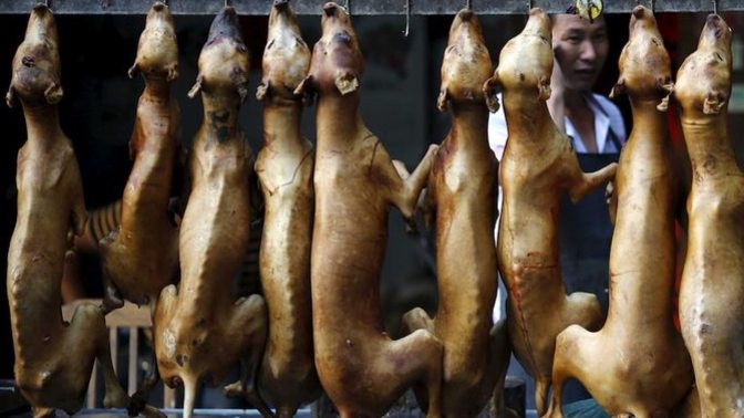 Why Asian people eat dog?