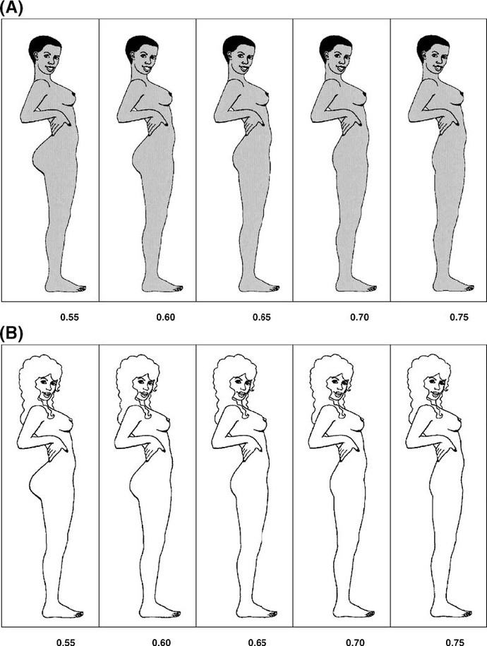 Gentlemen, which figure is the most attractive for you?