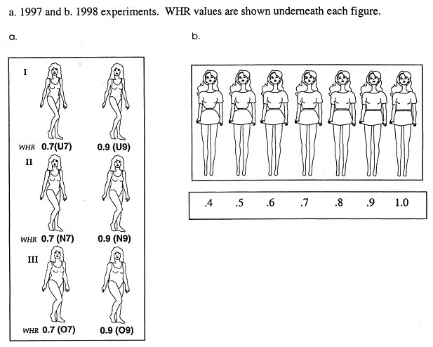 Gentlemen, which figure is the most attractive for you?