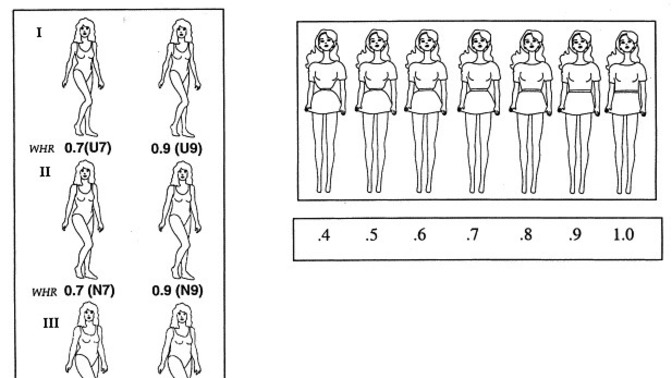 Gentlemen, which figure is the most attractive for you?