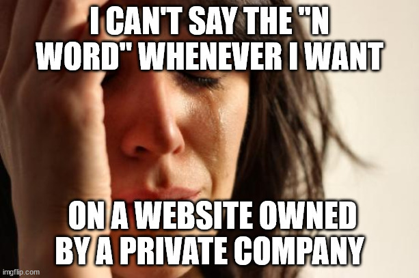 Is it really that bad that websites do not allow you to call people certain derogatory words because of their TOS?