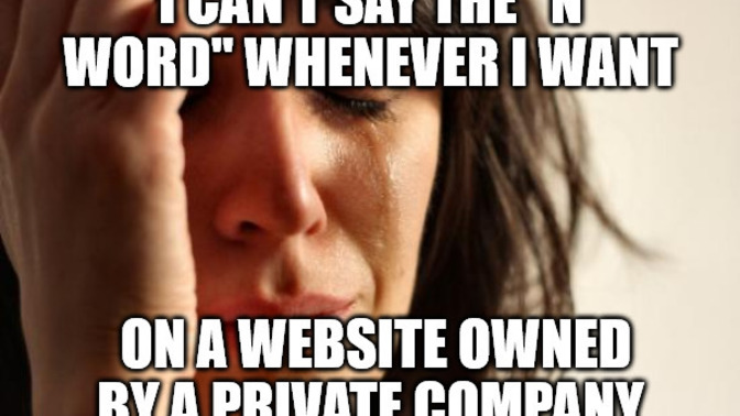 Is it really that bad that websites do not allow you to call people certain derogatory words because of their TOS?