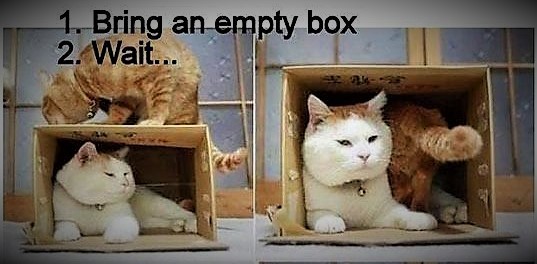 Guys, how does one find a girlfriend?