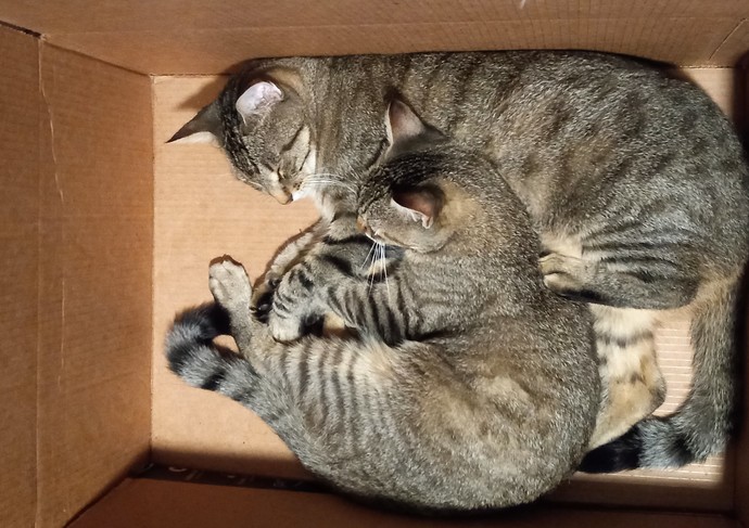 Guys, how does one find a girlfriend?