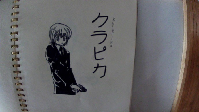 I drew some HXH (Hunter X Hunter) characters what one is your fav?