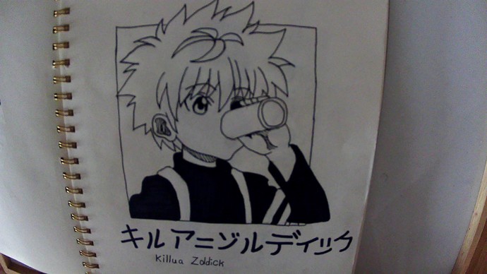I drew some HXH (Hunter X Hunter) characters what one is your fav?