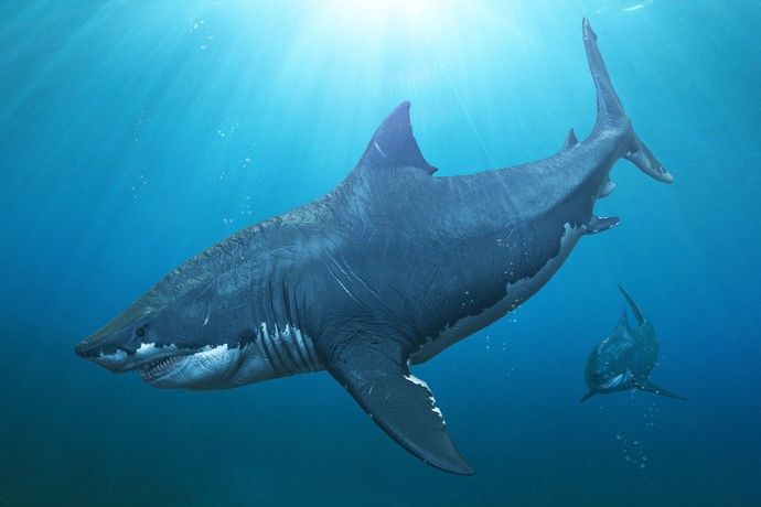What was the most frightening prehistoric sea monster?
