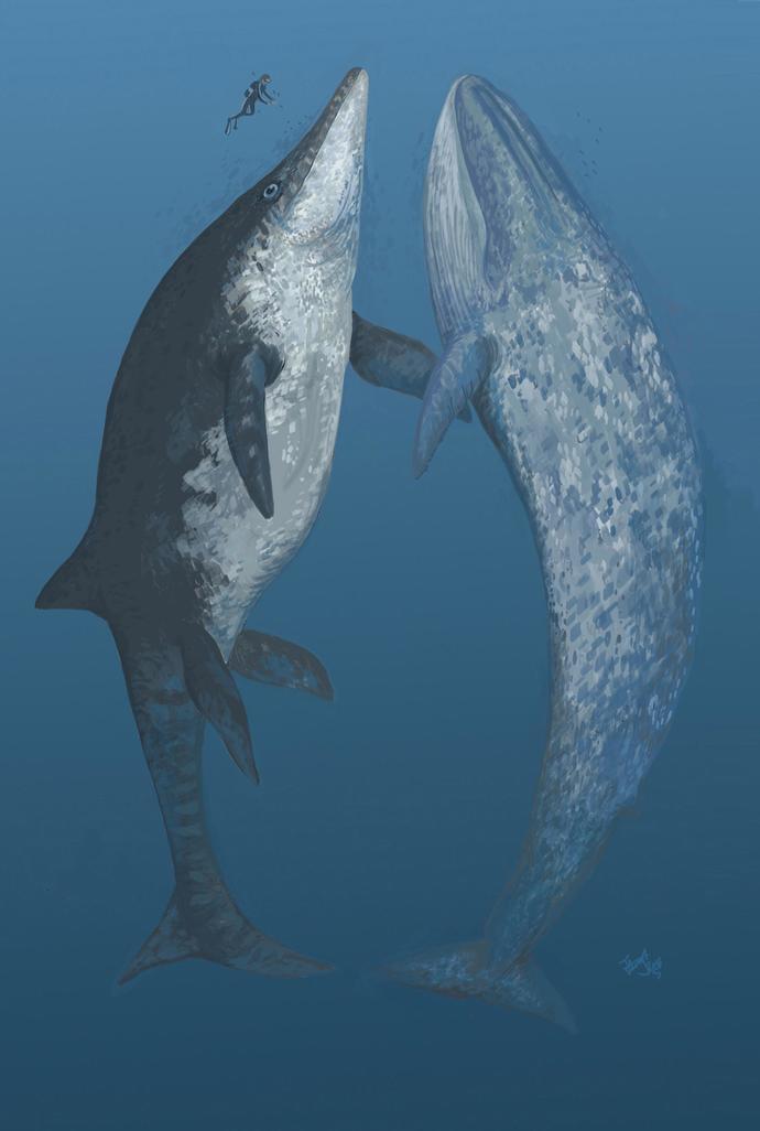 What was the most frightening prehistoric sea monster?