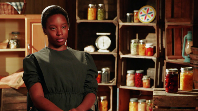 Have you ever hear of Black Amish Communities?