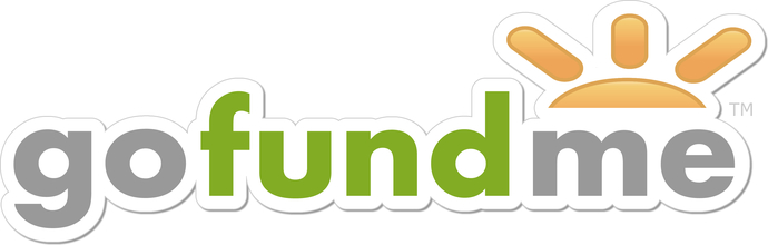 How much do you think people would donate to your Go Fund Me cause?