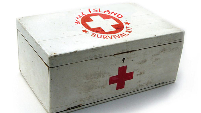 If you were on island and you could bring 5 things, what would they be? If you could bring a person with you, who would it be?